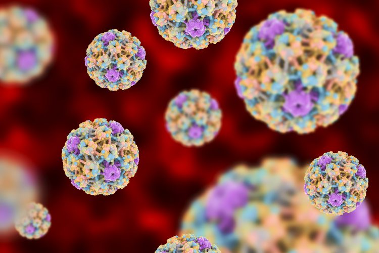Virus del Papiloma Humano 10 cosas que no sabías