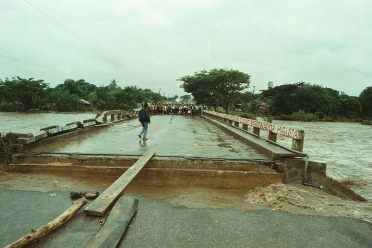 Guía