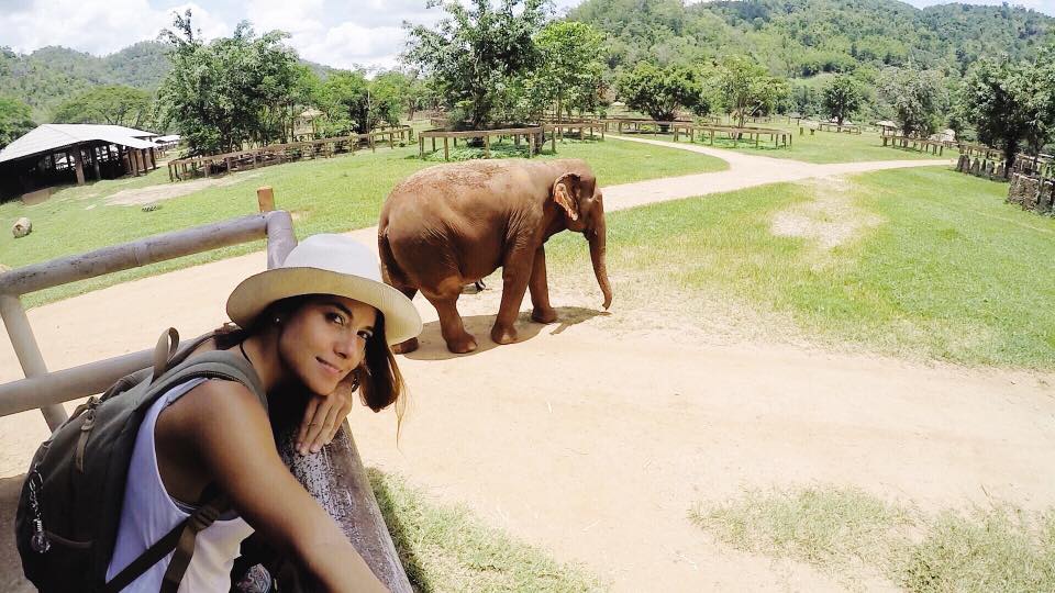 Celia Camacho cuida elefantes en Tailandia - La Prensa (Nicaragua)