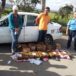 Policía Nacional detiene a una mujer que trasladaba 7,000 tiros en taxi en Jalapa Policía Nacional detiene a una mujer que trasladaba 7,000 tiros en taxi en Jalapa